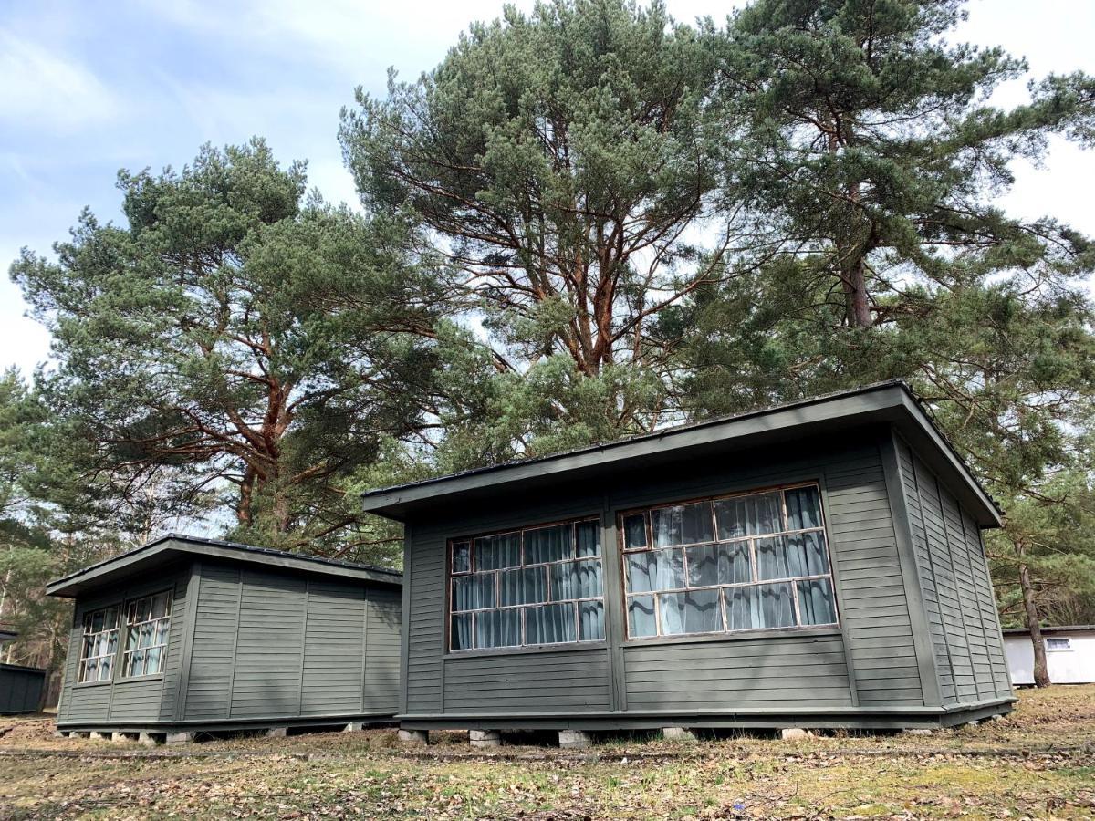 Camp Bursztynowy * Gdansk