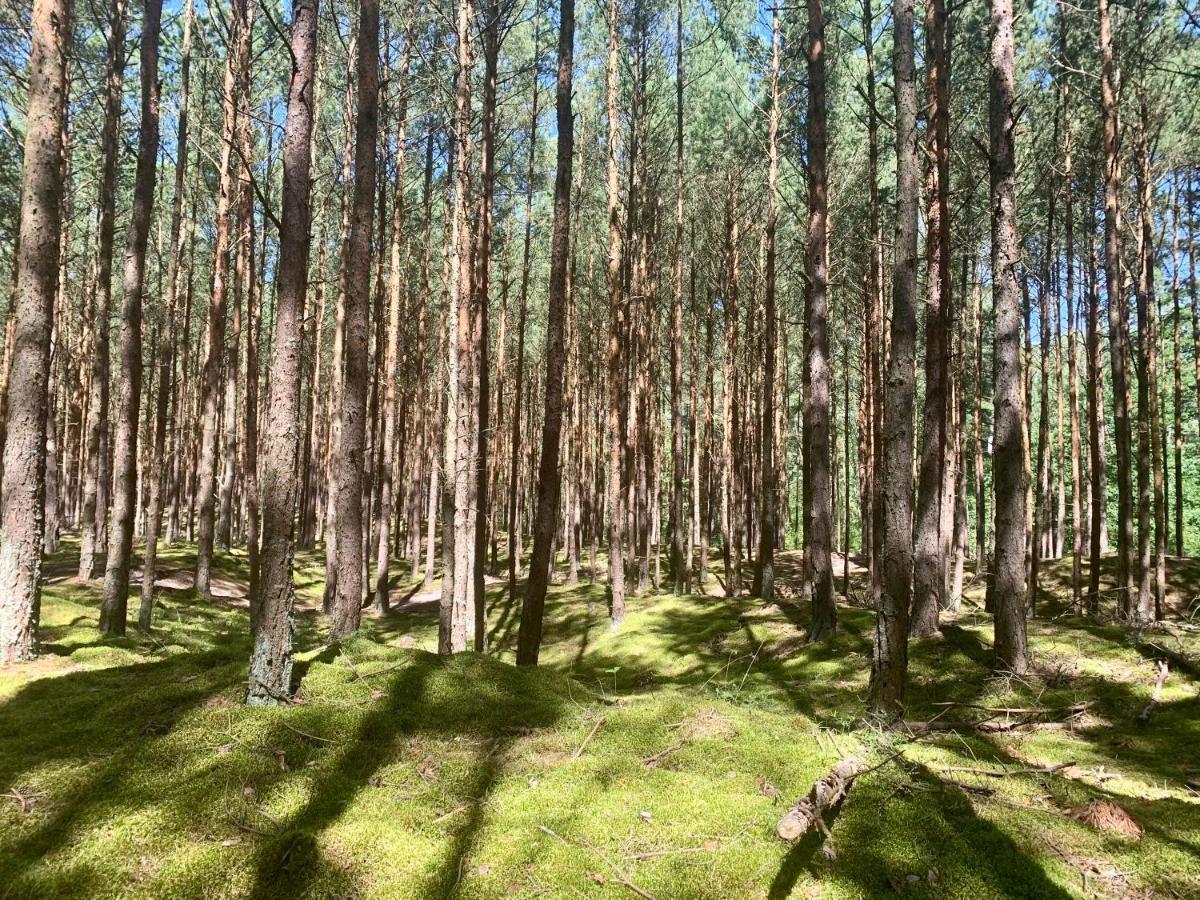 Camp Bursztynowy Gdansk