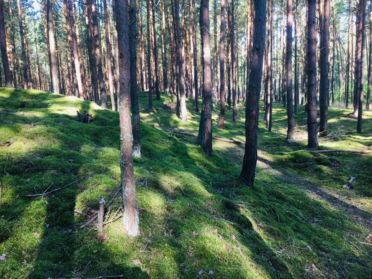 Camp Bursztynowy Campsite *