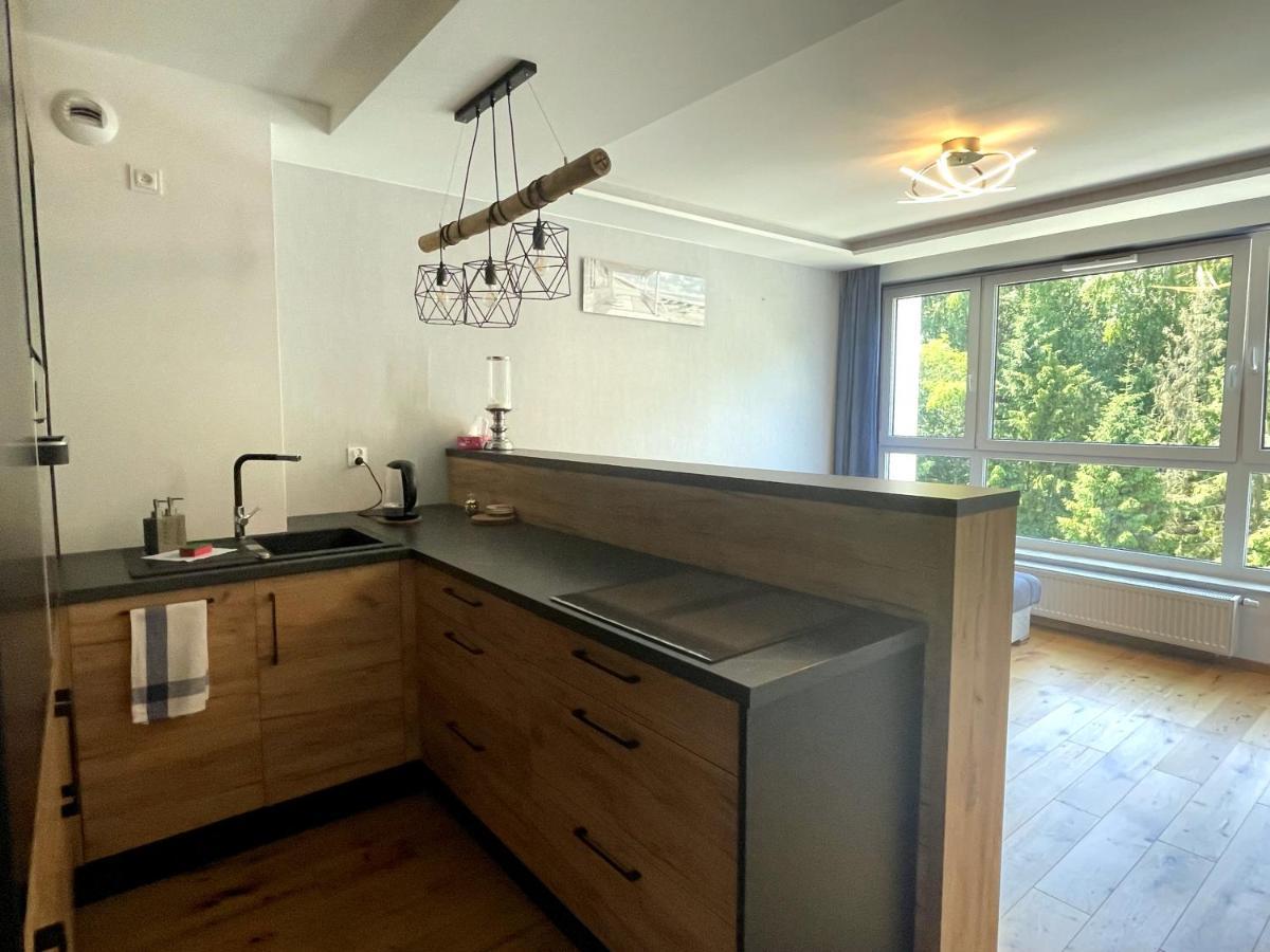 Apartment Zielona Dolina