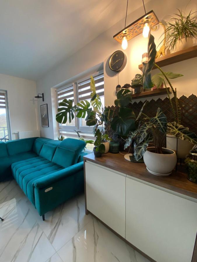Apartament Voda Lejlighed *
