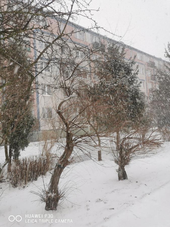 Apartamento Apartament Wiewiorka Gdańsk