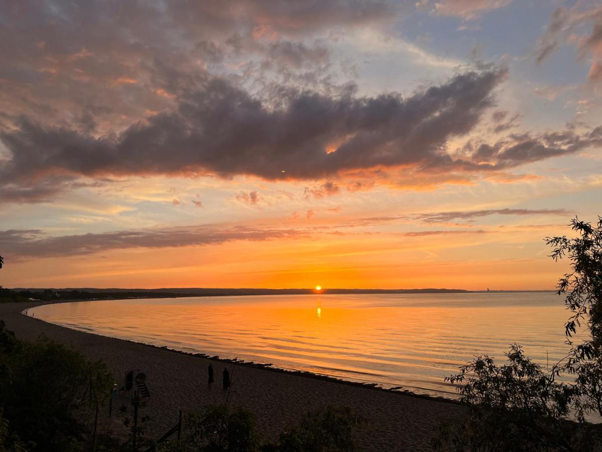 W Brzeznie Apartamento
