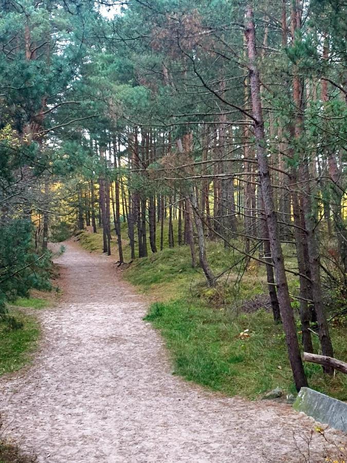 Lazur Park - *
