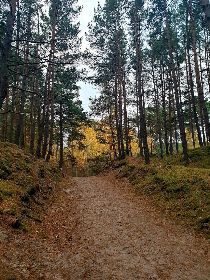 Lazur Park - * Gdańsk