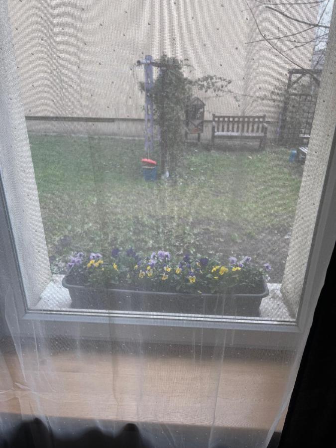 Apartament Wiola *