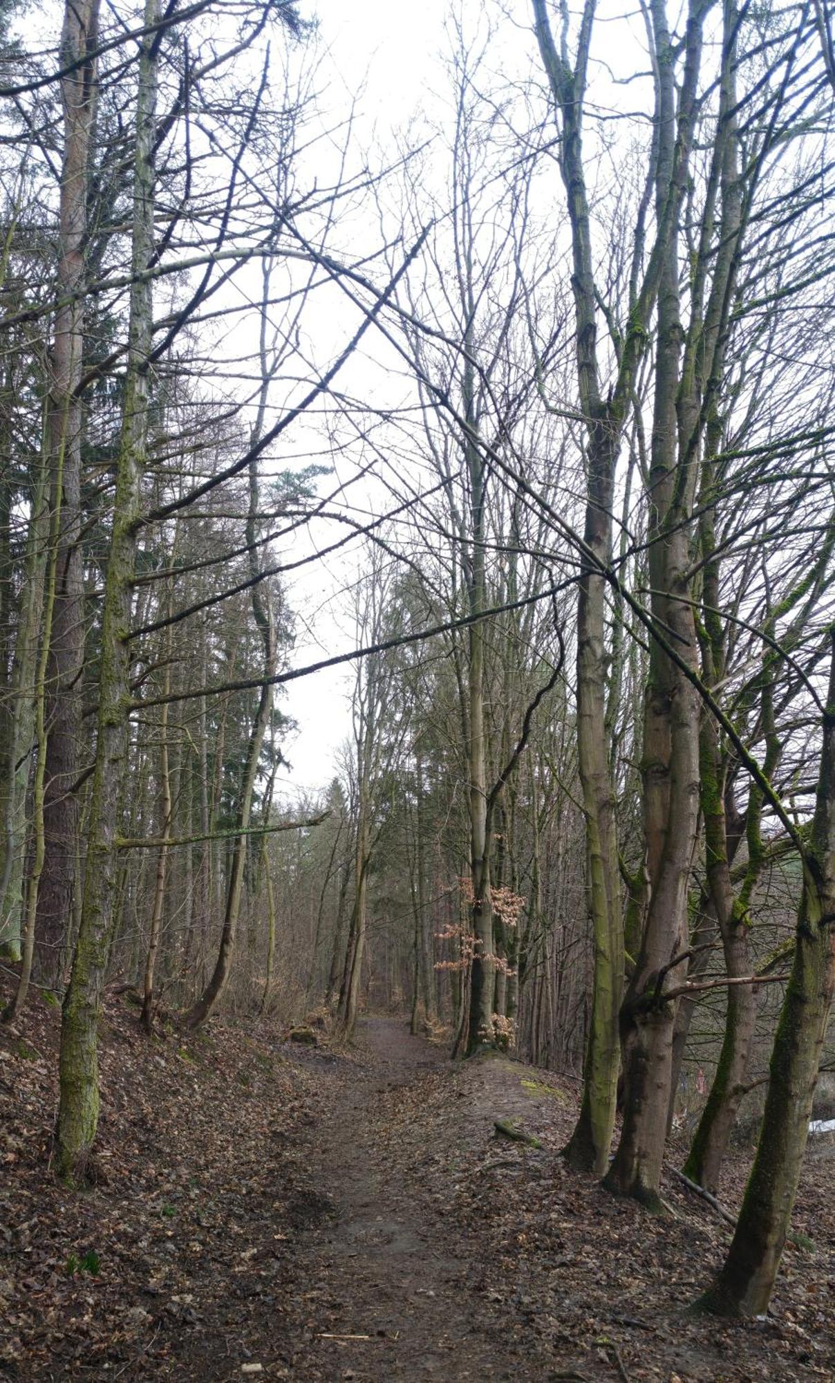 Gdanska Panorama Niedzwiadka Lägenhet