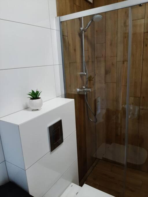 Przy Plazy Apartment Gdansk