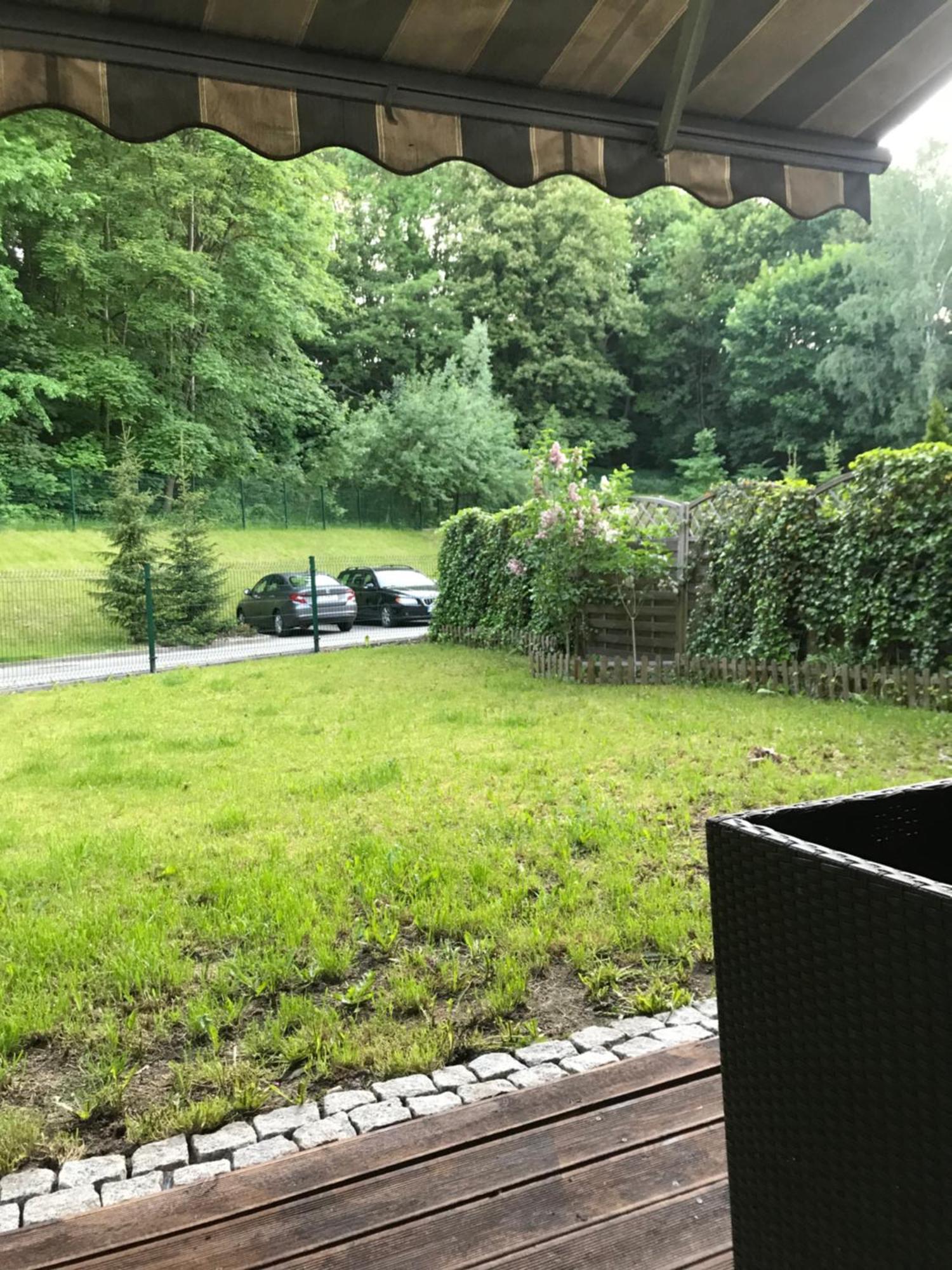 Forest In The City Apartment