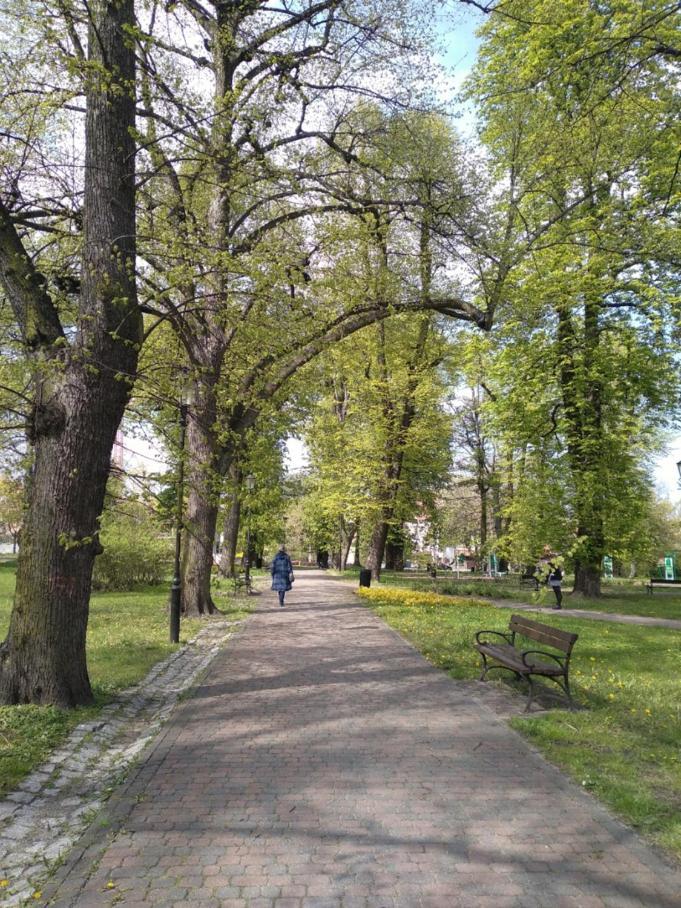 Apartament Panaceum- Panaceum Gdansk