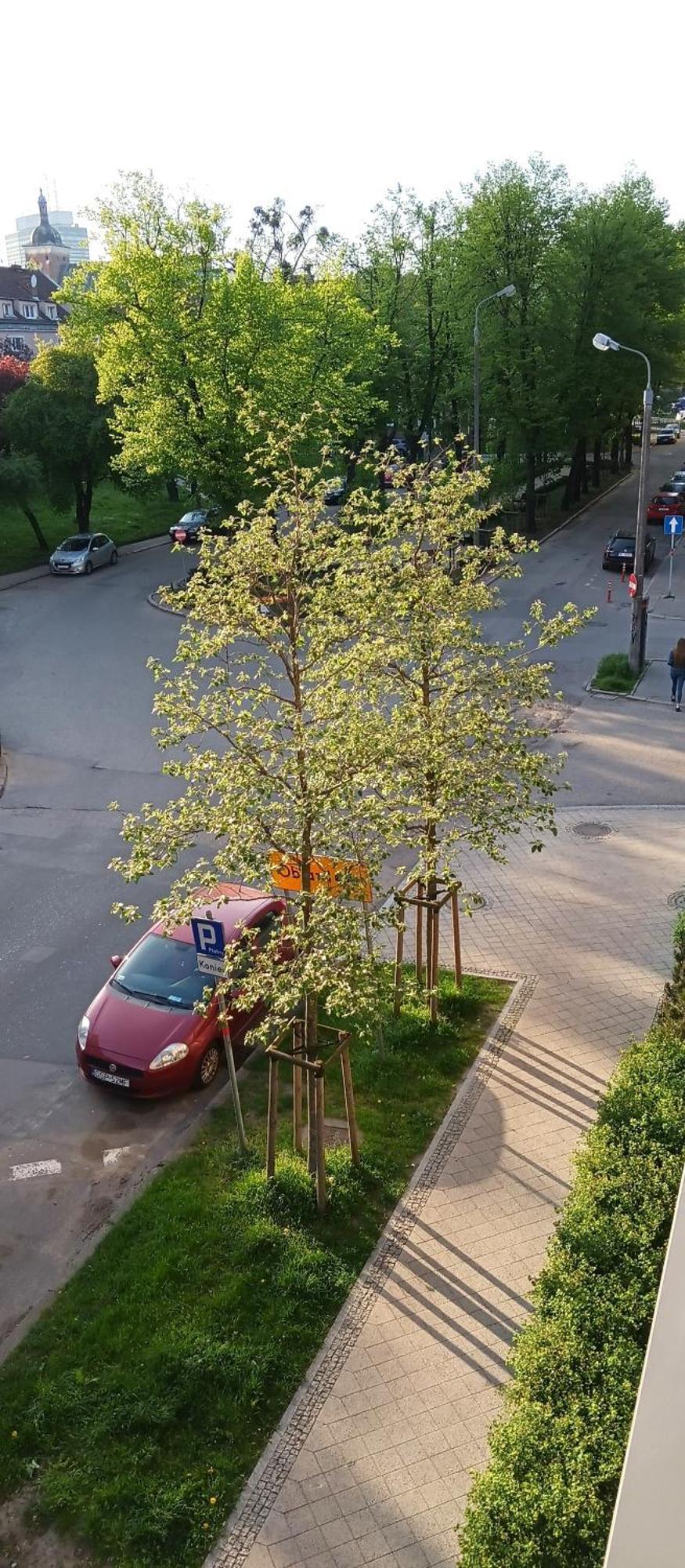 Planet Mercure Old Nova Apartment Gdansk