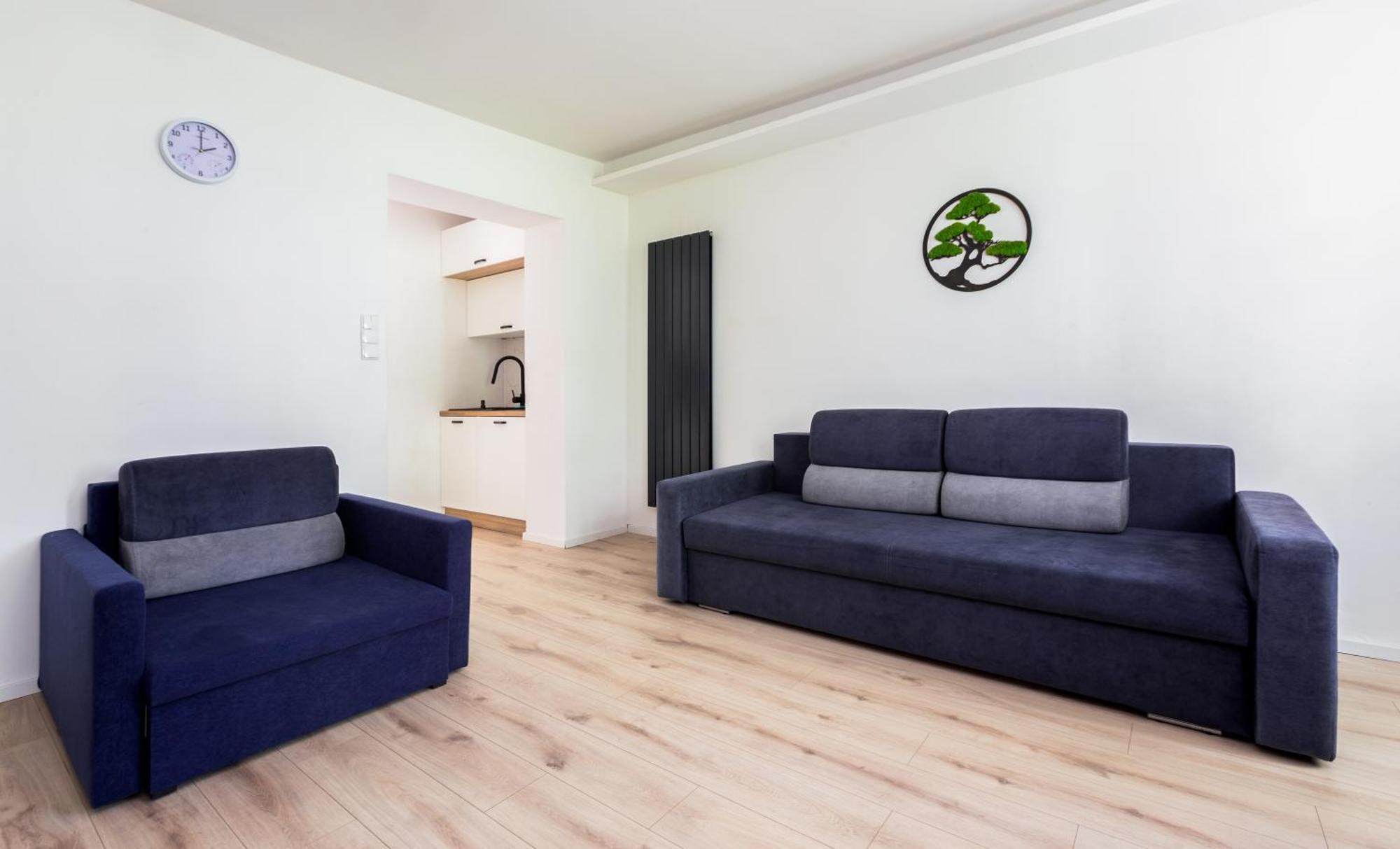Siedlce Comfort Studio Apartment