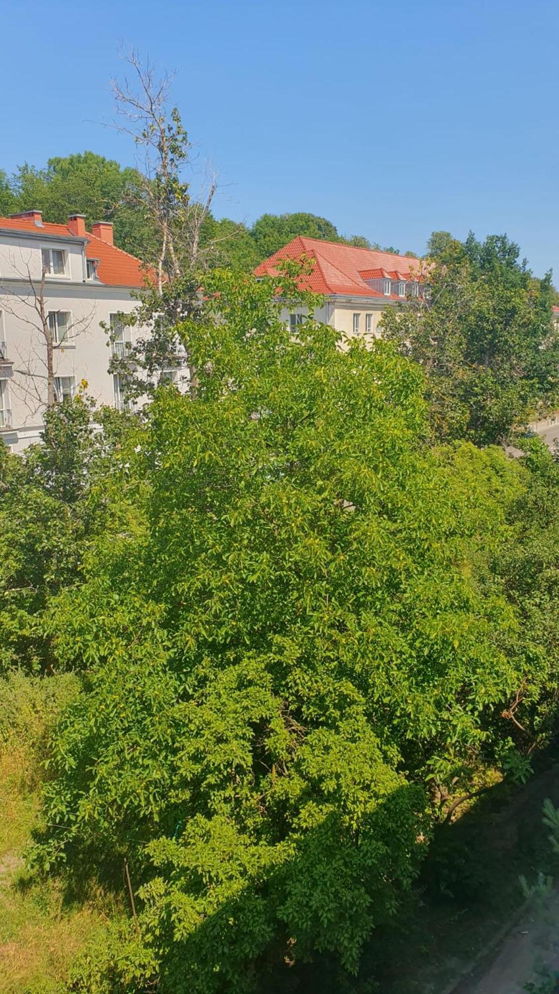 Apartment 3 Piekne Blisko Centrum Gdanska *