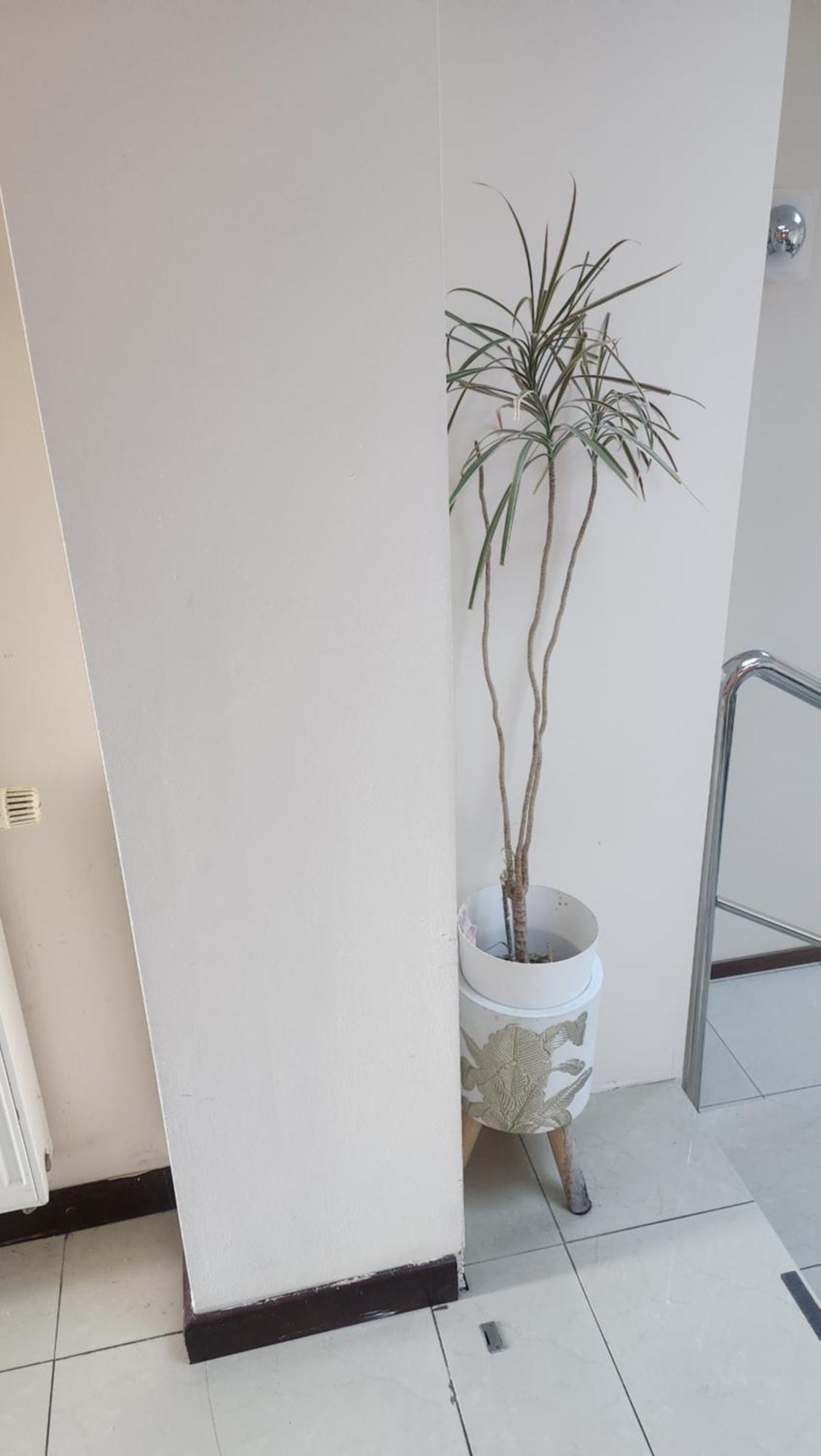 Pallas Acomodação com café da manhã 