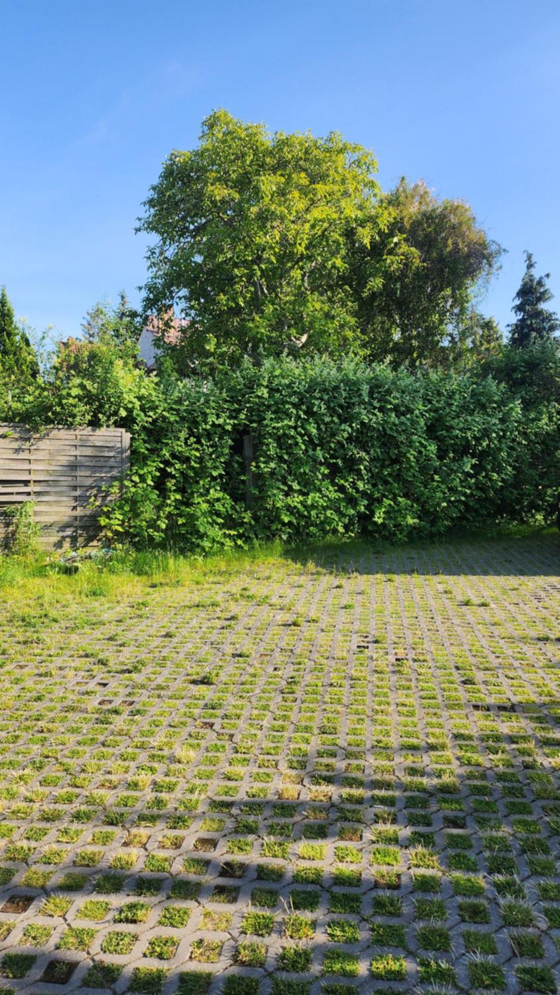 Pallas Gdańsk