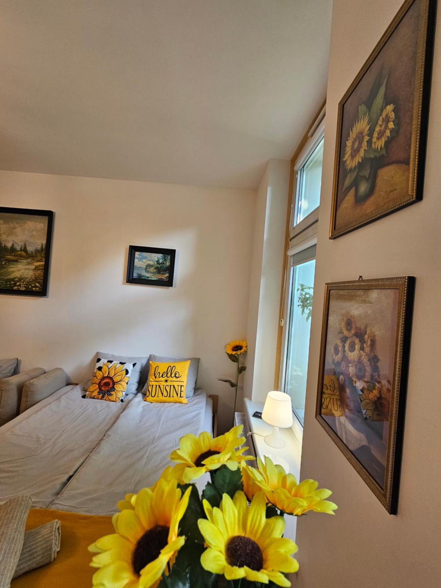 Slonecznikowy Loft Parter Apartment *