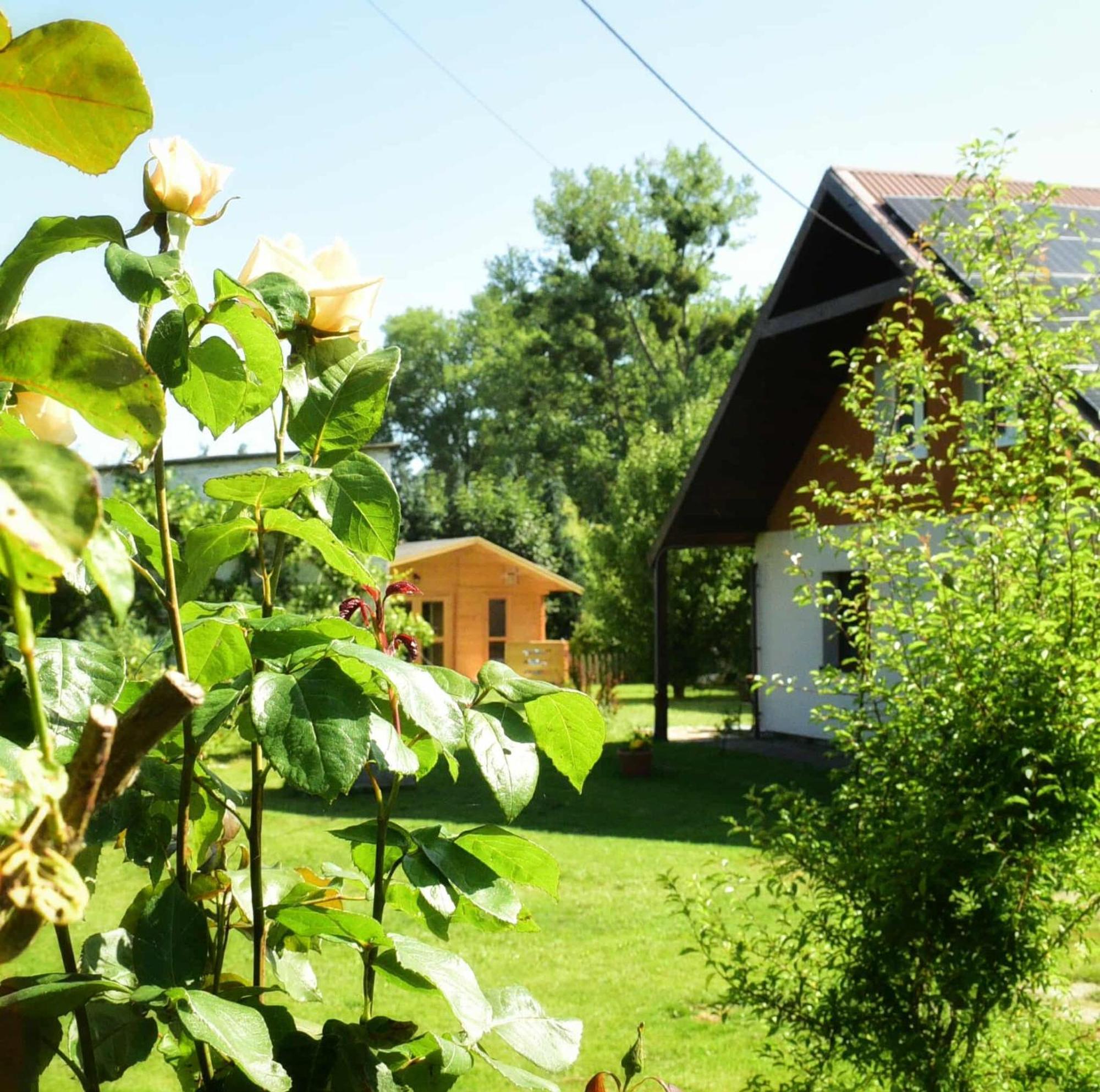 Przystanek Przegalina * Gdańsk