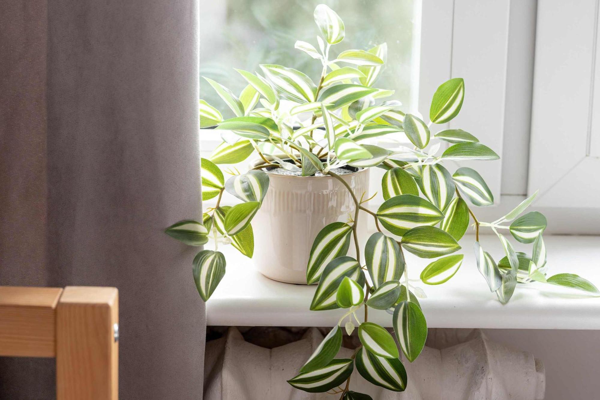 Bright With Desk Ideal For Remote Work By Renters Leilighet *