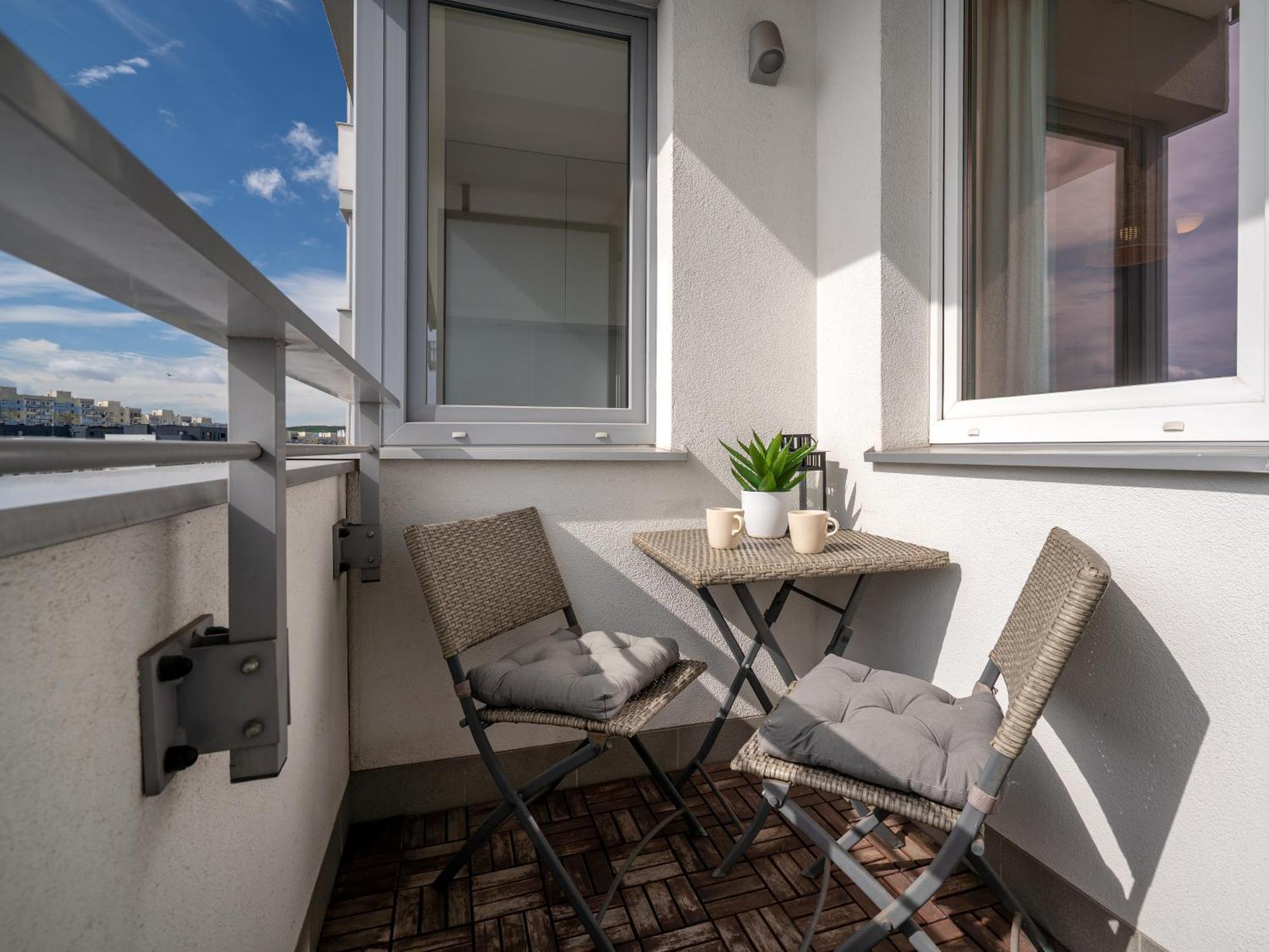 Aviator - Acco Rent Gdańsk