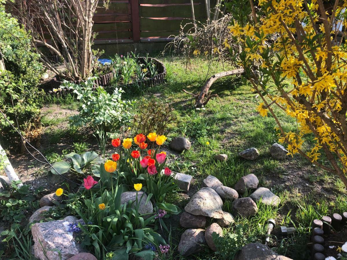 Aida Goscinne Bed & Breakfast Gdansk