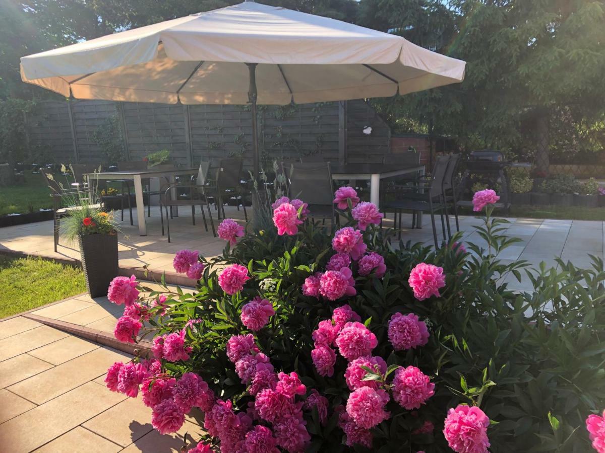 Bed & Breakfast Aida Goscinne