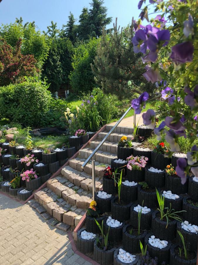 Bed & Breakfast Aida Goscinne 3*