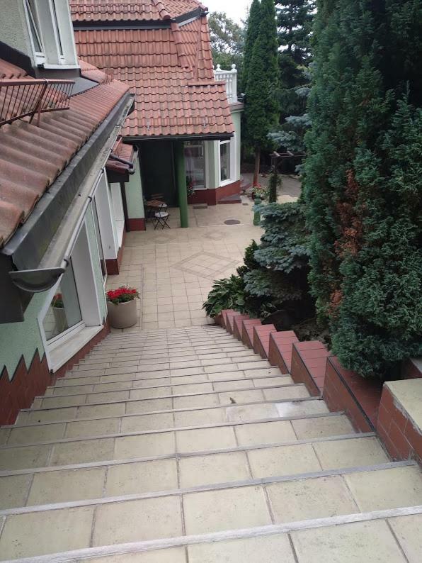 Apartment Szkocka *