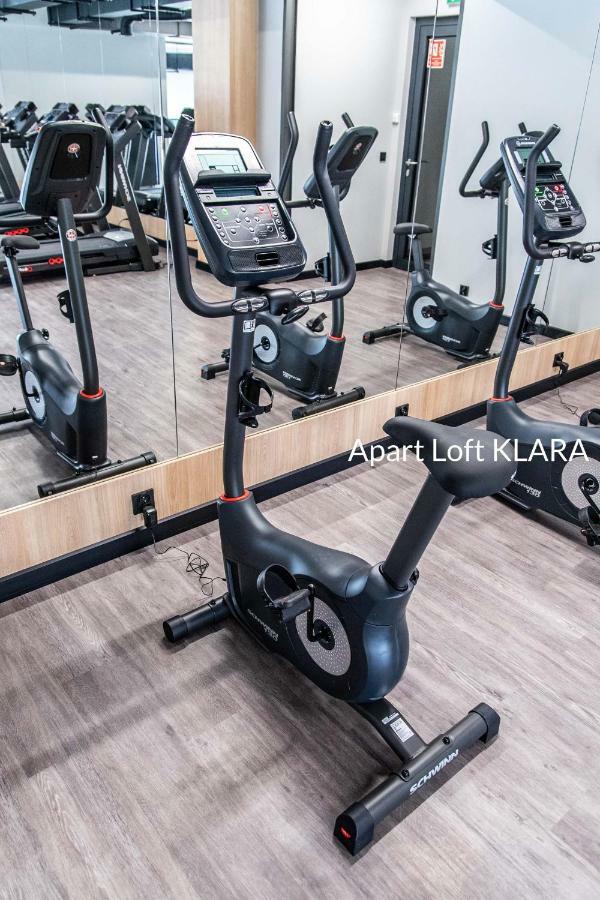 Apart Loft Klara *