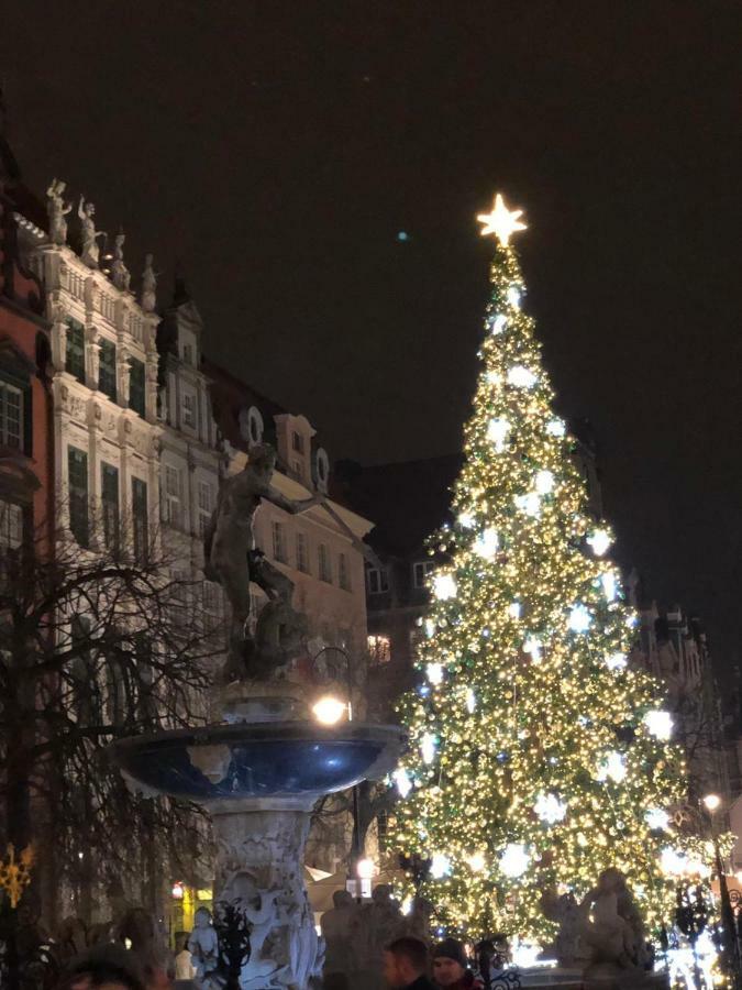 Apartment Basilica Mariacka *